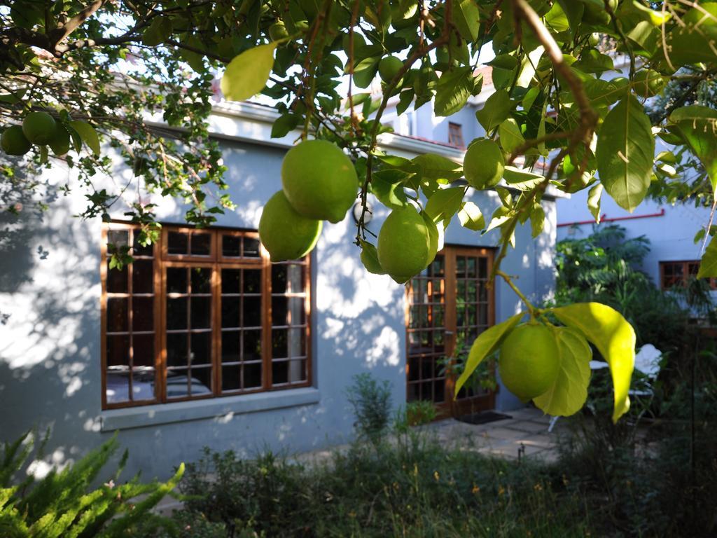 House Of House Guest House Stellenbosch Bagian luar foto